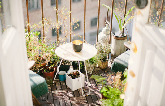 Homemade Summer Oasis