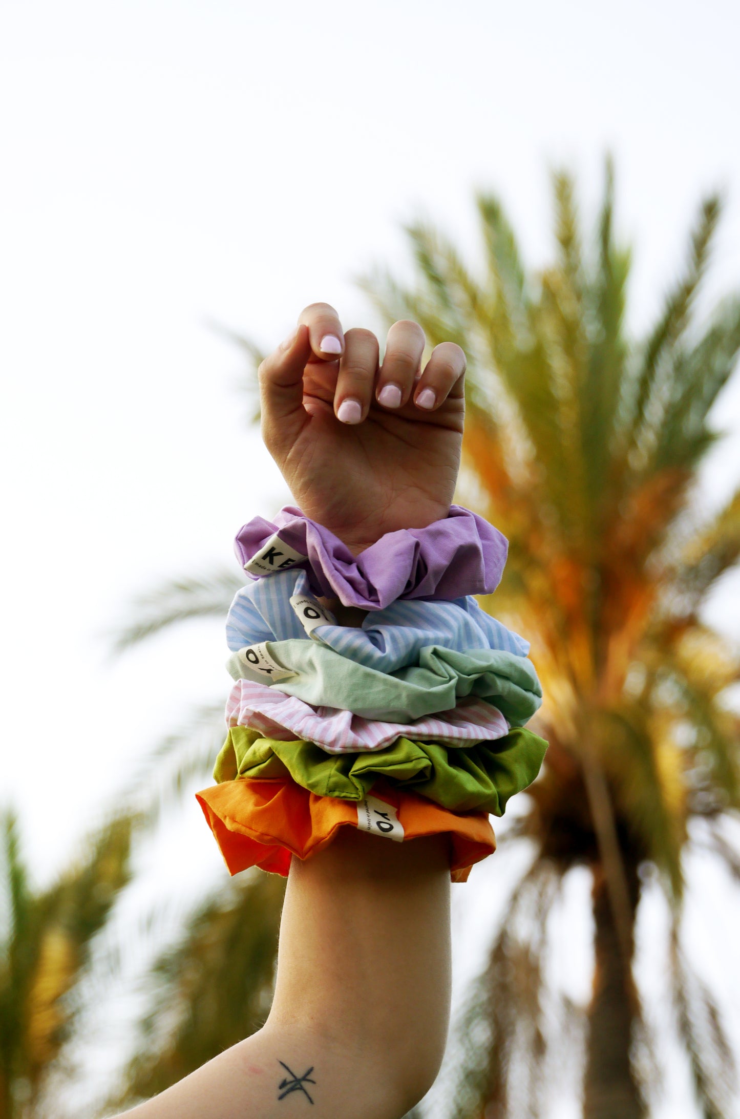 Buenos días - Daily Scrunchies