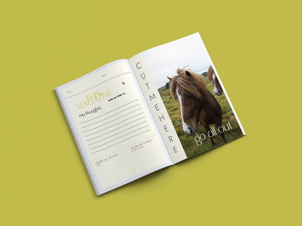 Cozy Book #4