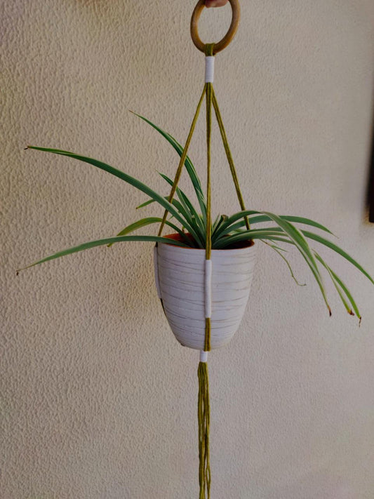 Handmade Plant hanger