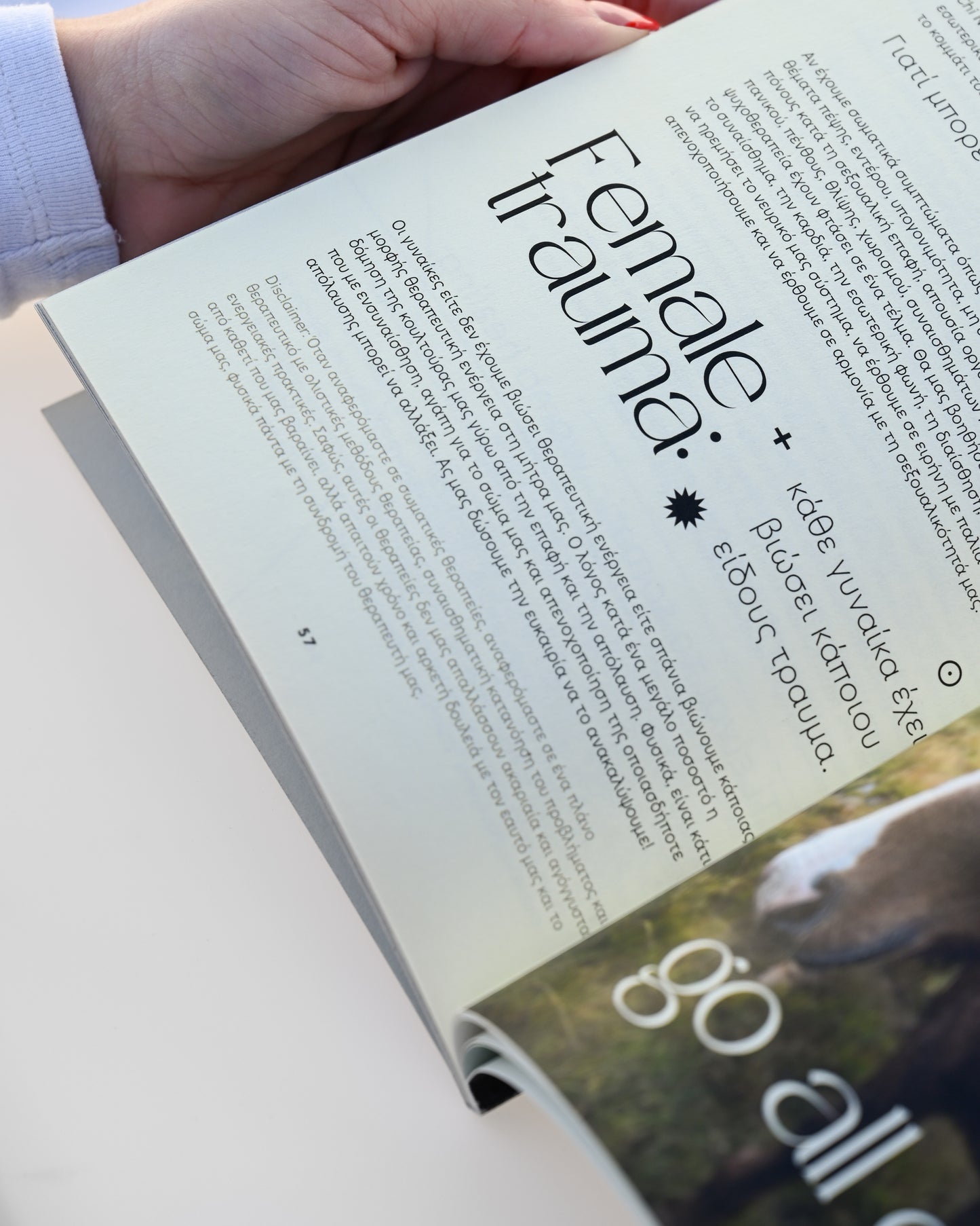Cozy Book #4