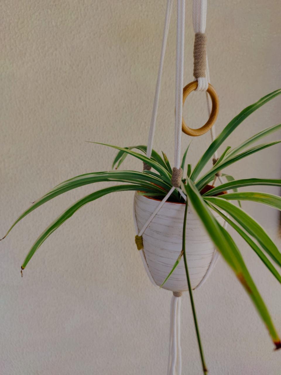 Handmade Plant hanger