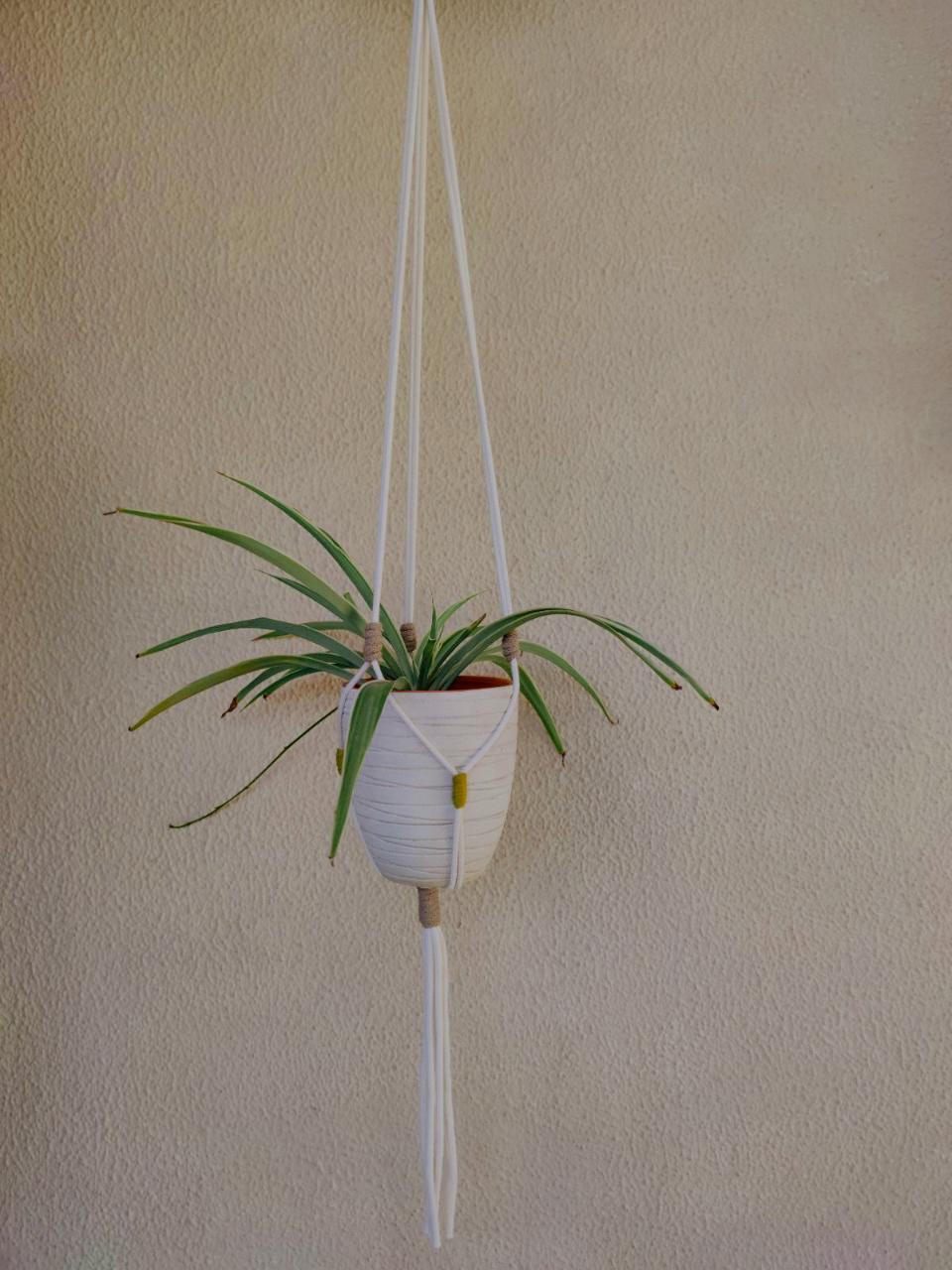 Handmade Plant hanger
